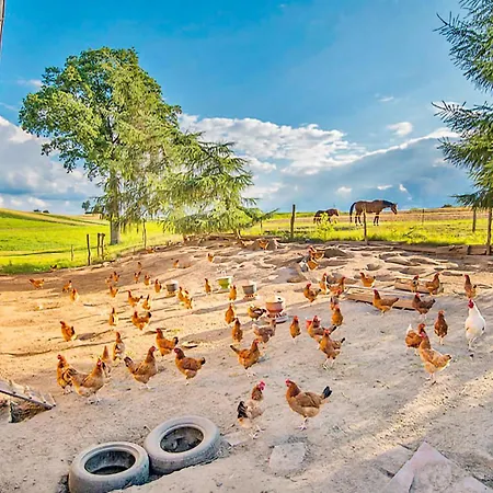 Dom wakacyjny Pod Lipa