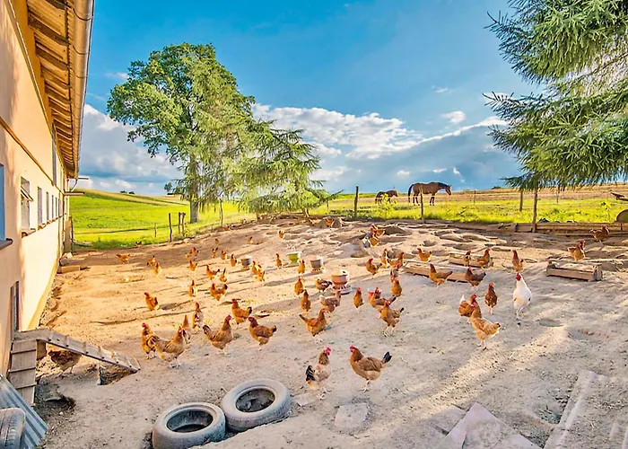 Prázdninový dům Pod Lipa